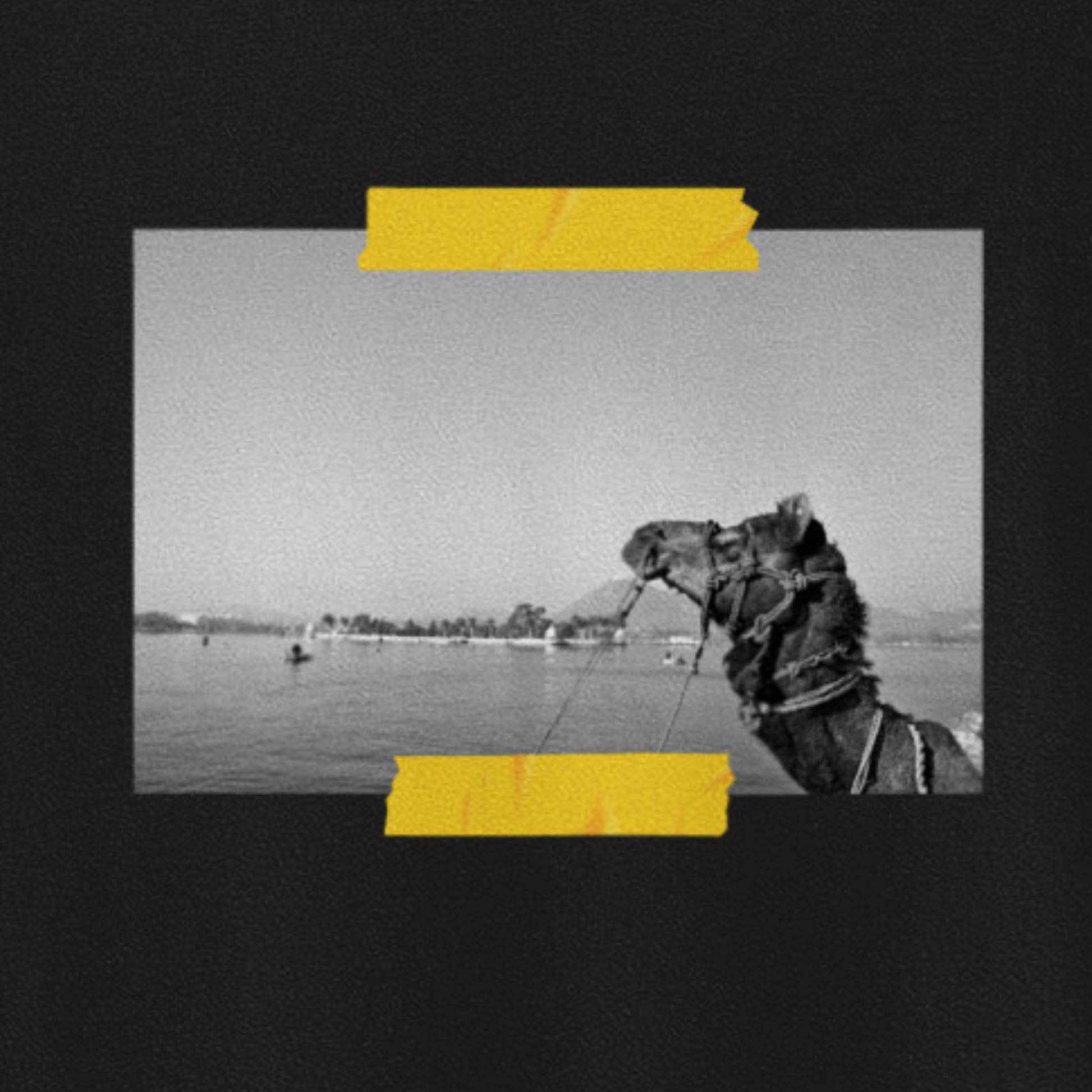 Camel Picture T-Shirt